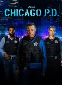 芝加哥警署第十一季